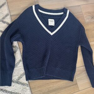 Abercrombie & Fitch Blue and White V-Neck Sweater